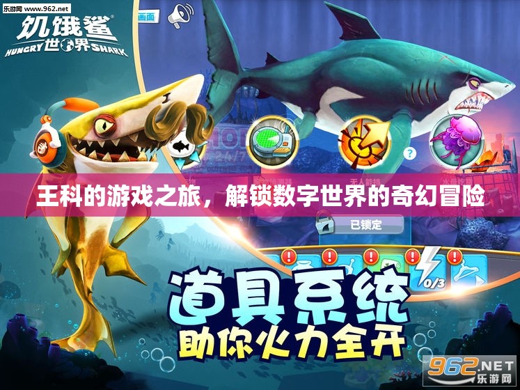 王科的數(shù)字世界奇幻冒險(xiǎn)，解鎖游戲之旅的無限可能
