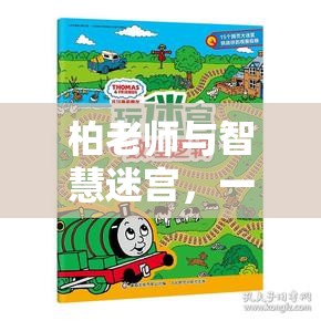 柏老師與智慧迷宮，寓教于樂的數(shù)字探險(xiǎn)之旅