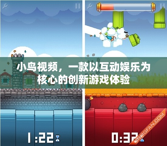 探索互動娛樂新境界，小鳥視頻游戲體驗