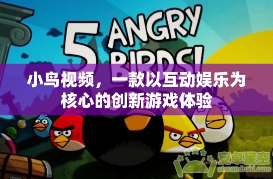 探索互動娛樂新境界，小鳥視頻游戲體驗