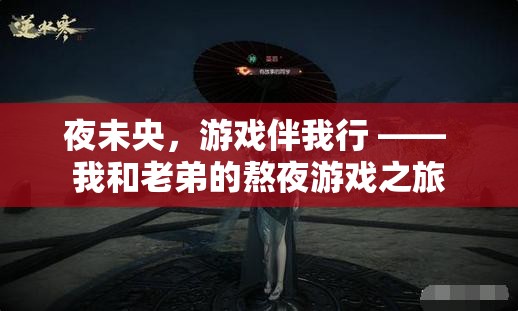 夜未央，兄弟共游，我們的熬夜游戲之旅