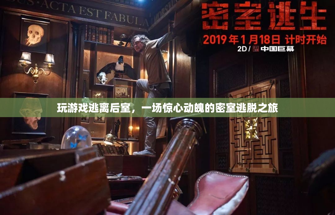 逃離后室，一場驚心動魄的密室逃脫之旅