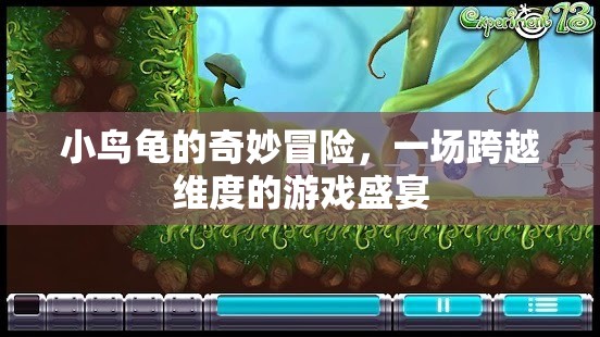 小鳥龜?shù)木S度之旅，一場(chǎng)跨越次元的奇妙冒險(xiǎn)