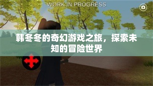 韓冬冬的奇幻冒險(xiǎn)，探索未知的奇妙世界