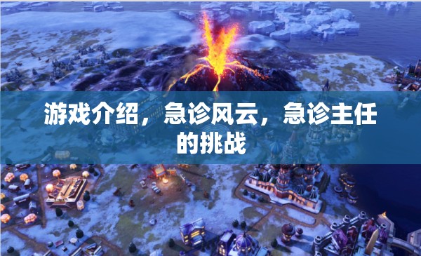 急診風(fēng)云，急診主任的挑戰(zhàn)