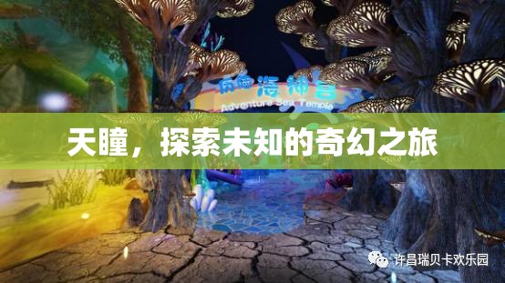 天瞳，一場(chǎng)探索未知的奇幻之旅