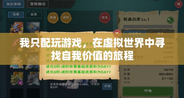 從現(xiàn)實(shí)到虛擬，我在游戲世界中尋找自我價值的旅程
