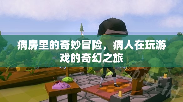 病房里的奇妙冒險(xiǎn)，病人的游戲奇幻之旅