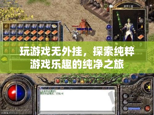 純凈之旅，無(wú)外掛游戲，探索純粹的樂(lè)趣