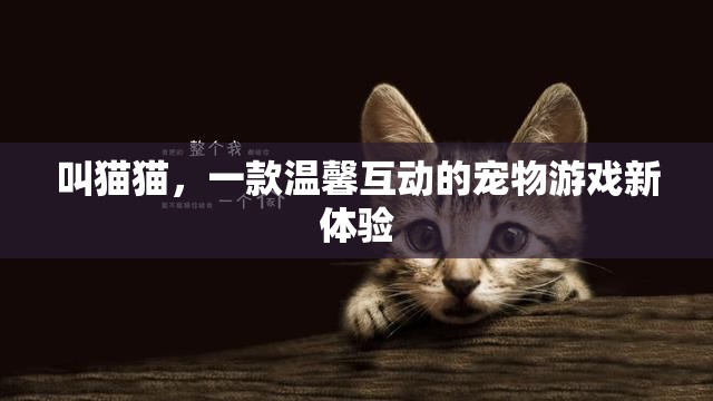 探索叫貓貓，一款溫馨互動的寵物游戲新體驗