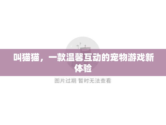 探索叫貓貓，一款溫馨互動的寵物游戲新體驗