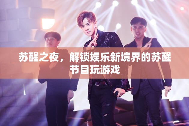 蘇醒之夜，解鎖娛樂新境界的創(chuàng)意游戲節(jié)目
