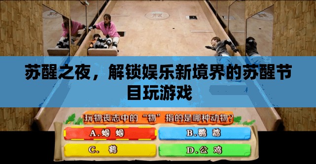 蘇醒之夜，解鎖娛樂新境界的創(chuàng)意游戲節(jié)目