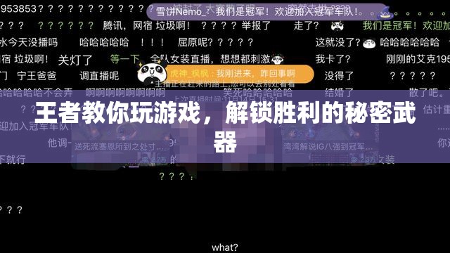 王者秘籍，解鎖游戲勝利的秘密武器