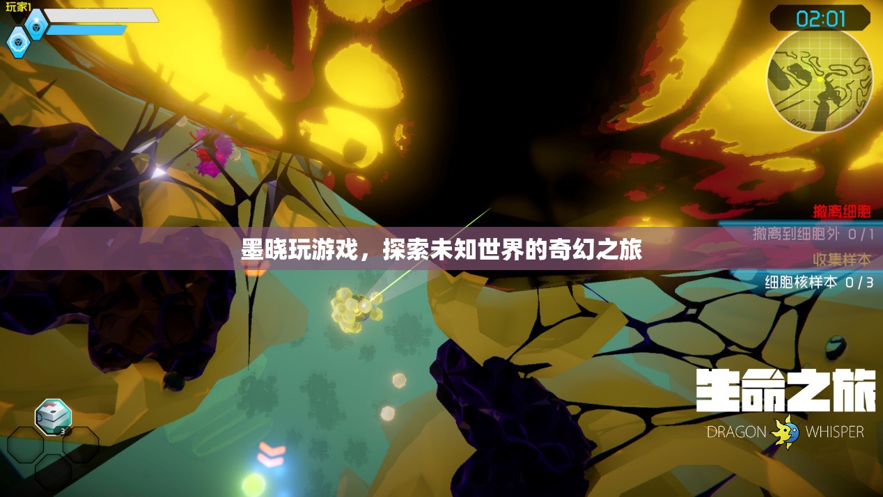 墨曉的奇幻游戲之旅，探索未知世界的冒險(xiǎn)