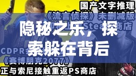 隱秘之樂，探索躲在背后玩游戲的奇妙世界