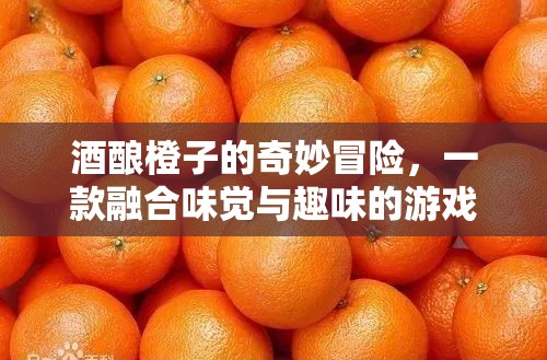 酒釀橙子的奇妙冒險，味覺與趣味的完美融合游戲