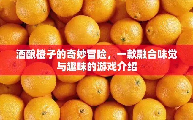 酒釀橙子的奇妙冒險，味覺與趣味的完美融合游戲