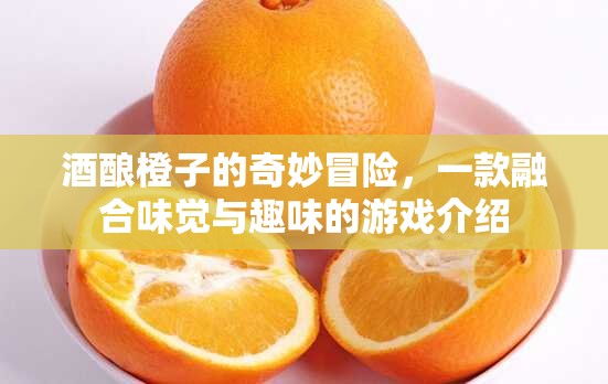 酒釀橙子的奇妙冒險，味覺與趣味的完美融合游戲