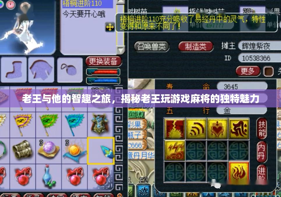 老王智趣之旅，揭秘麻將游戲中的獨(dú)特魅力