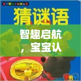 智趣啟航，寶寶認(rèn)知游戲的奇妙之旅