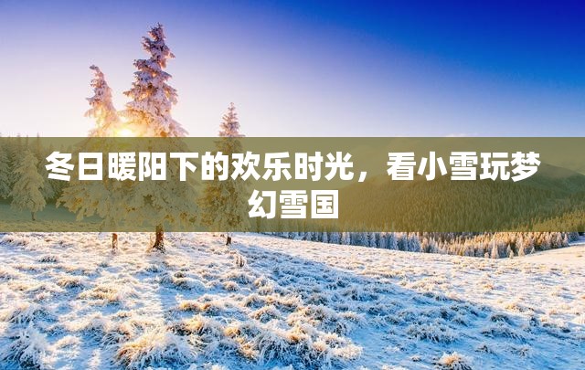 冬日暖陽下的夢幻雪國，小雪的歡樂時光