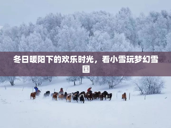 冬日暖陽下的夢幻雪國，小雪的歡樂時光
