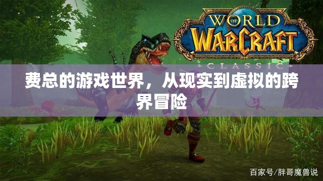 費總，從現(xiàn)實到虛擬的跨界冒險之旅