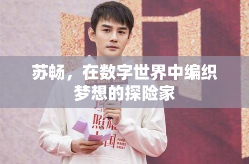 數(shù)字世界的夢(mèng)想編織者，蘇暢的探險(xiǎn)之旅