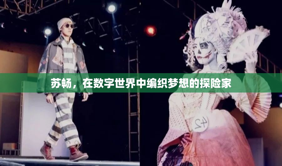 數(shù)字世界的夢(mèng)想編織者，蘇暢的探險(xiǎn)之旅