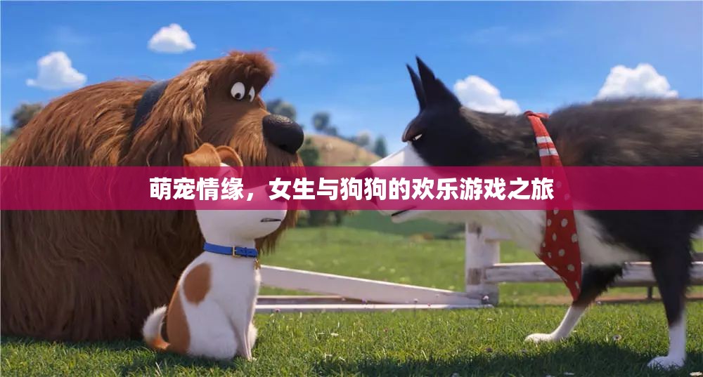 萌寵情緣，女生與狗狗的歡樂游戲之旅