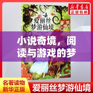 小說奇境，閱讀與游戲的夢幻交融