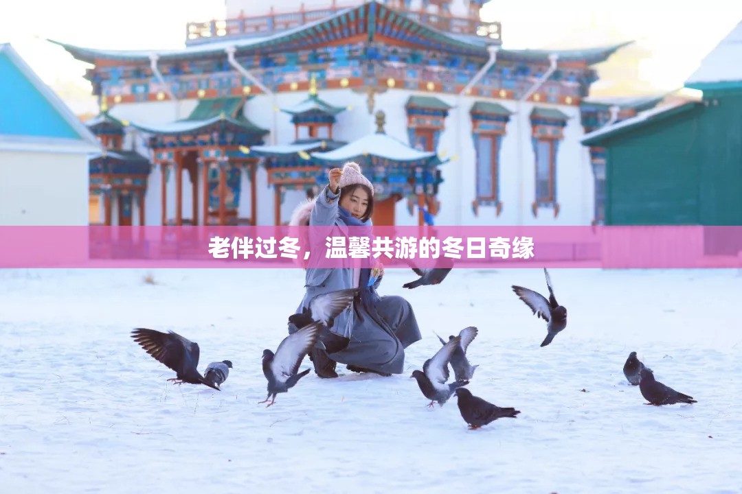 冬日共游，老伴的溫馨奇緣