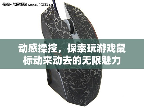 動感操控，解鎖玩游戲鼠標的無限魅力