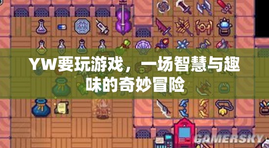 智慧與趣味的奇妙冒險(xiǎn)，YW的精彩游戲之旅