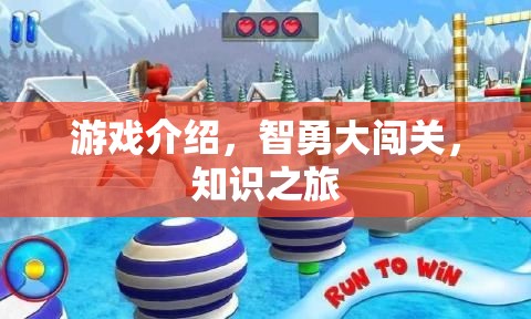 智勇大闖關(guān)，一場(chǎng)知識(shí)之旅的精彩冒險(xiǎn)