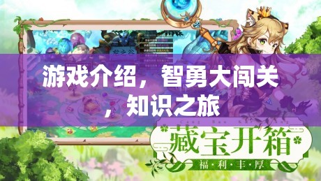 智勇大闖關(guān)，一場(chǎng)知識(shí)之旅的精彩冒險(xiǎn)