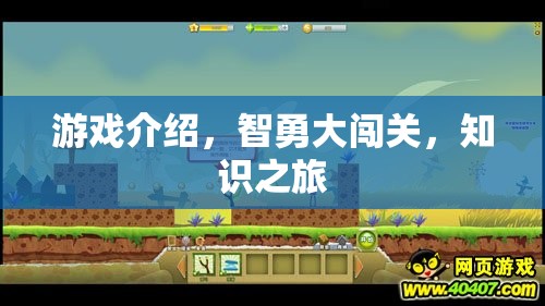 智勇大闖關(guān)，一場(chǎng)知識(shí)之旅的精彩冒險(xiǎn)