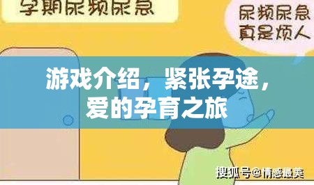 愛的孕育之旅，緊張?jiān)型镜钠婷钣螒? class=