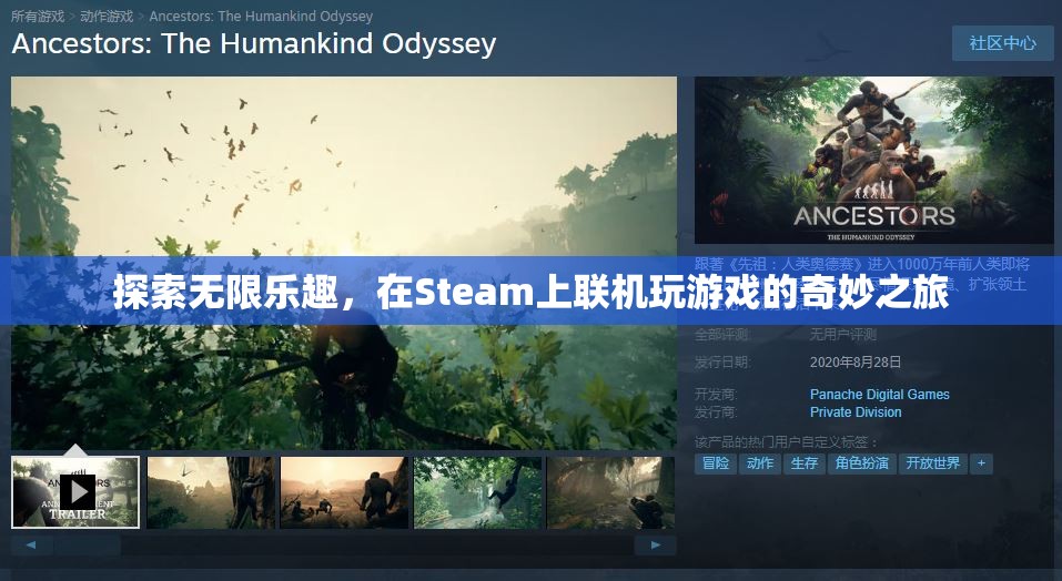 Steam聯(lián)機(jī)游戲，探索無(wú)限樂(lè)趣的奇妙之旅
