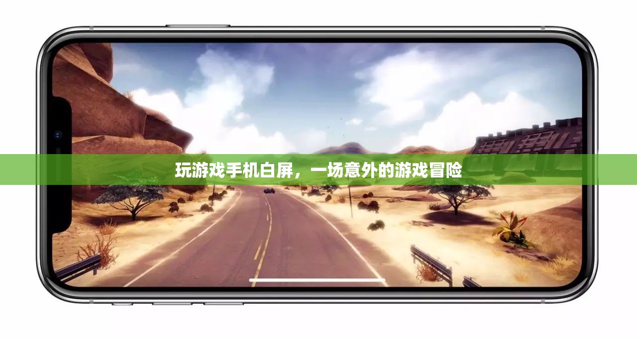 游戲中的意外之旅，手機(jī)白屏的冒險(xiǎn)