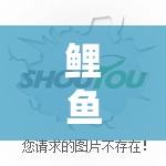 鯉魚老師，在數(shù)字海洋中暢游的歡樂(lè)游戲之旅