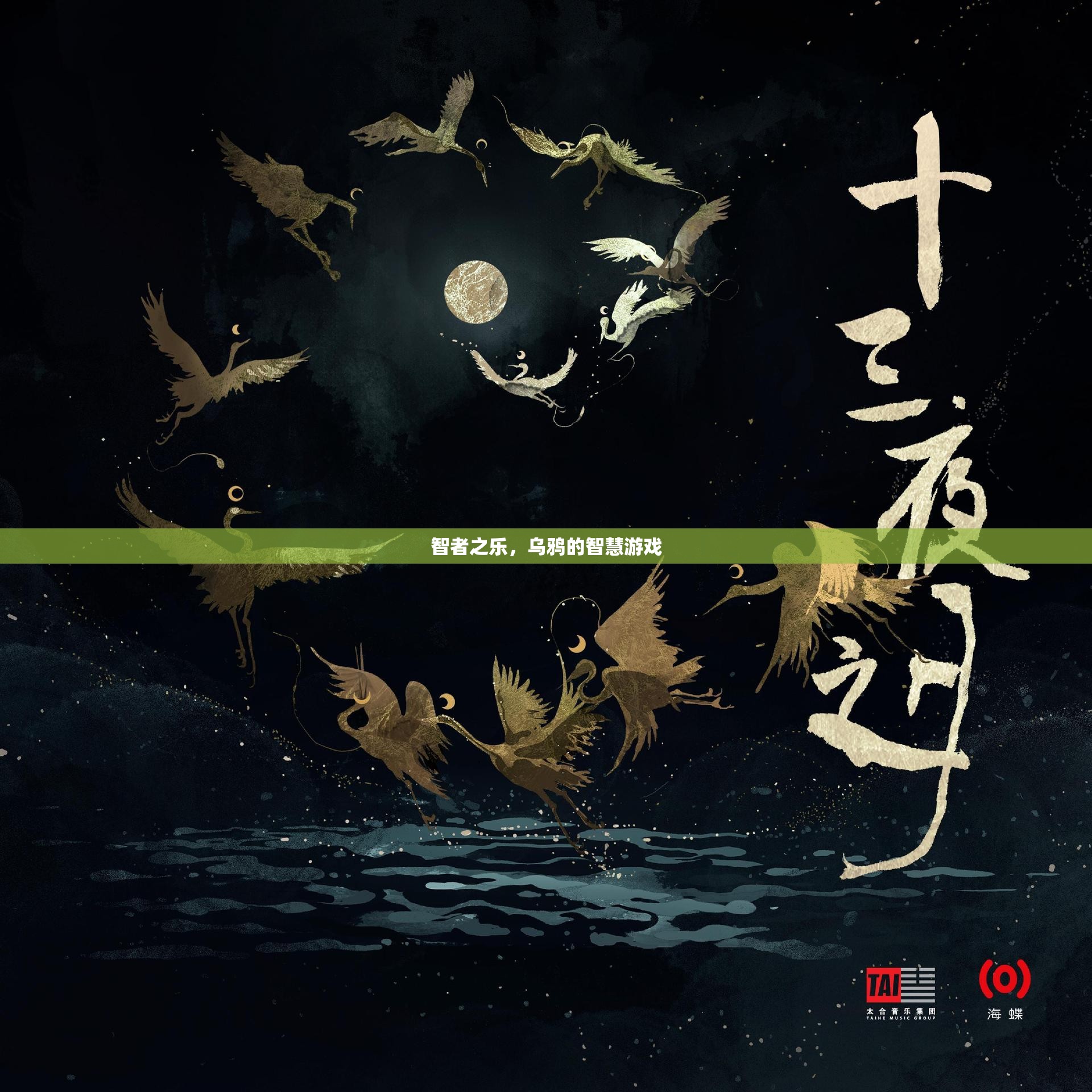 智者之樂，烏鴉的智慧游戲