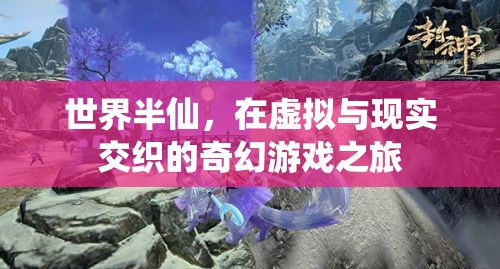 半仙之境，虛擬與現(xiàn)實(shí)的奇幻游戲之旅