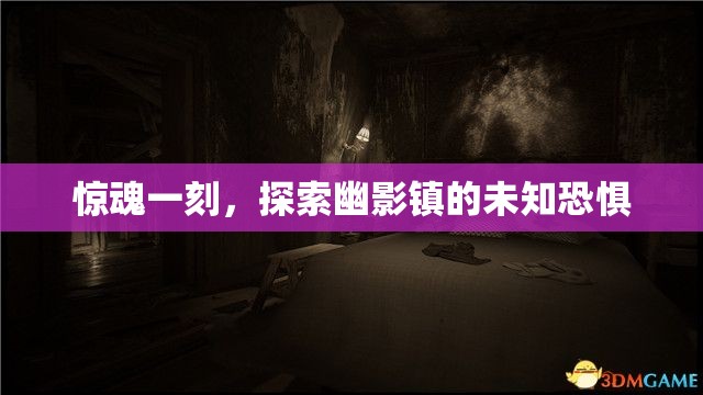 幽影鎮(zhèn)的驚魂探索，揭秘未知恐懼