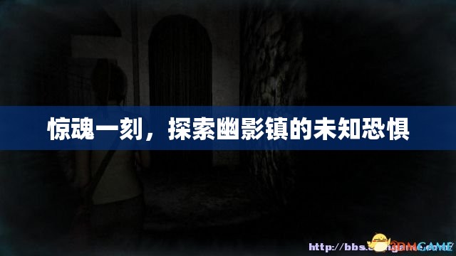 幽影鎮(zhèn)的驚魂探索，揭秘未知恐懼