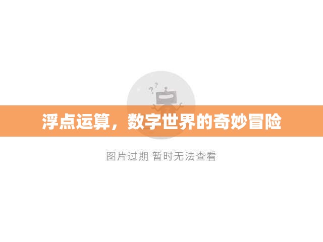 浮點運算，數(shù)字世界的奇妙探險之旅