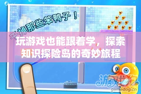 知識(shí)探險(xiǎn)島，在游戲中探索奇妙的知識(shí)之旅