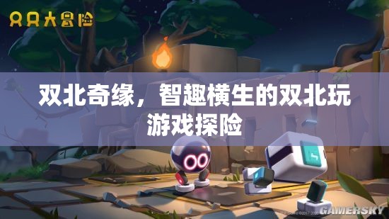 雙北奇緣，智趣橫生的游戲探險(xiǎn)之旅