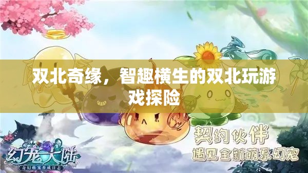 雙北奇緣，智趣橫生的游戲探險(xiǎn)之旅